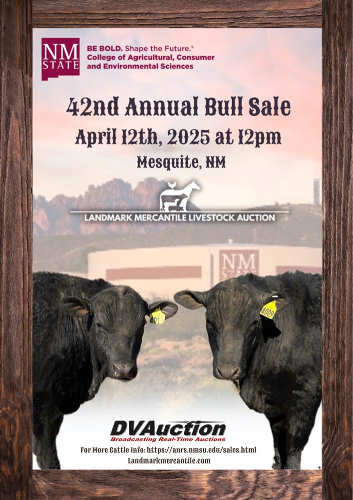 Poster for the 42nd Annual Bull Sale featuring two black bulls, with event details and branding for NM State and Landmark Mercantile Livestock Auction.