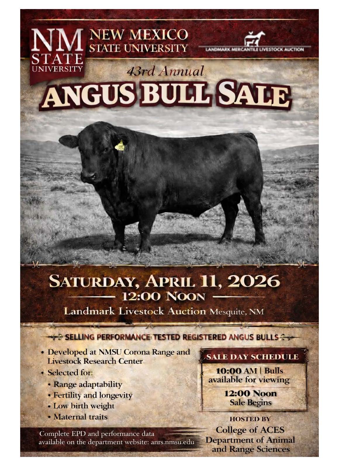 bull sale poster