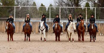 horse team on horses