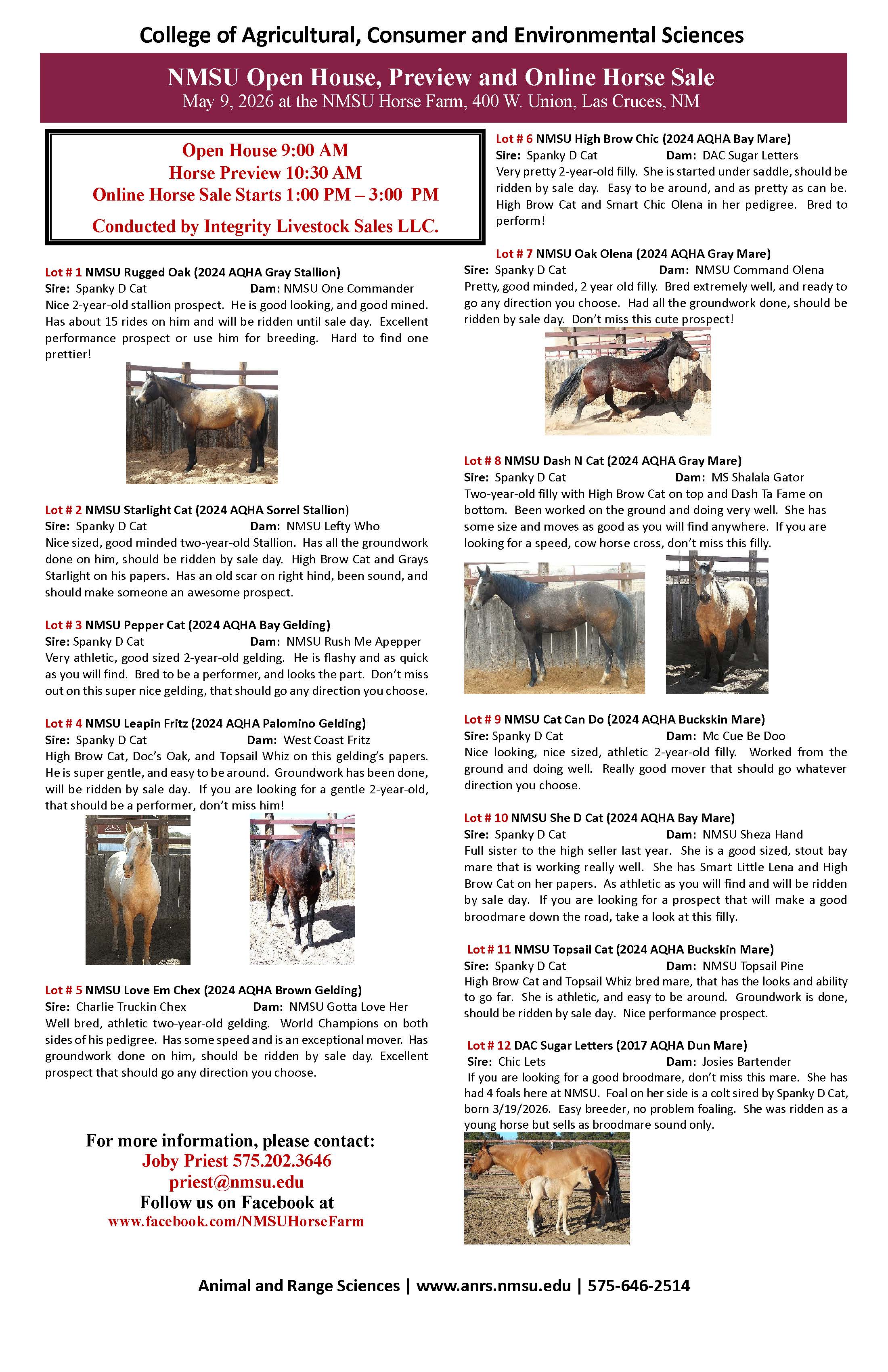 Promotional flyer for the NMSU Open House and Online Horse Sale, featuring details about the event, horse lots, and contact information.