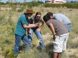 Image of looking at range