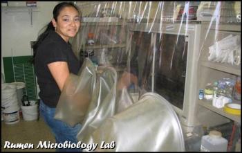 Image of rumen microbiology lab