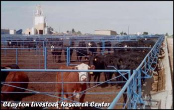 Image of clayton livestock research center